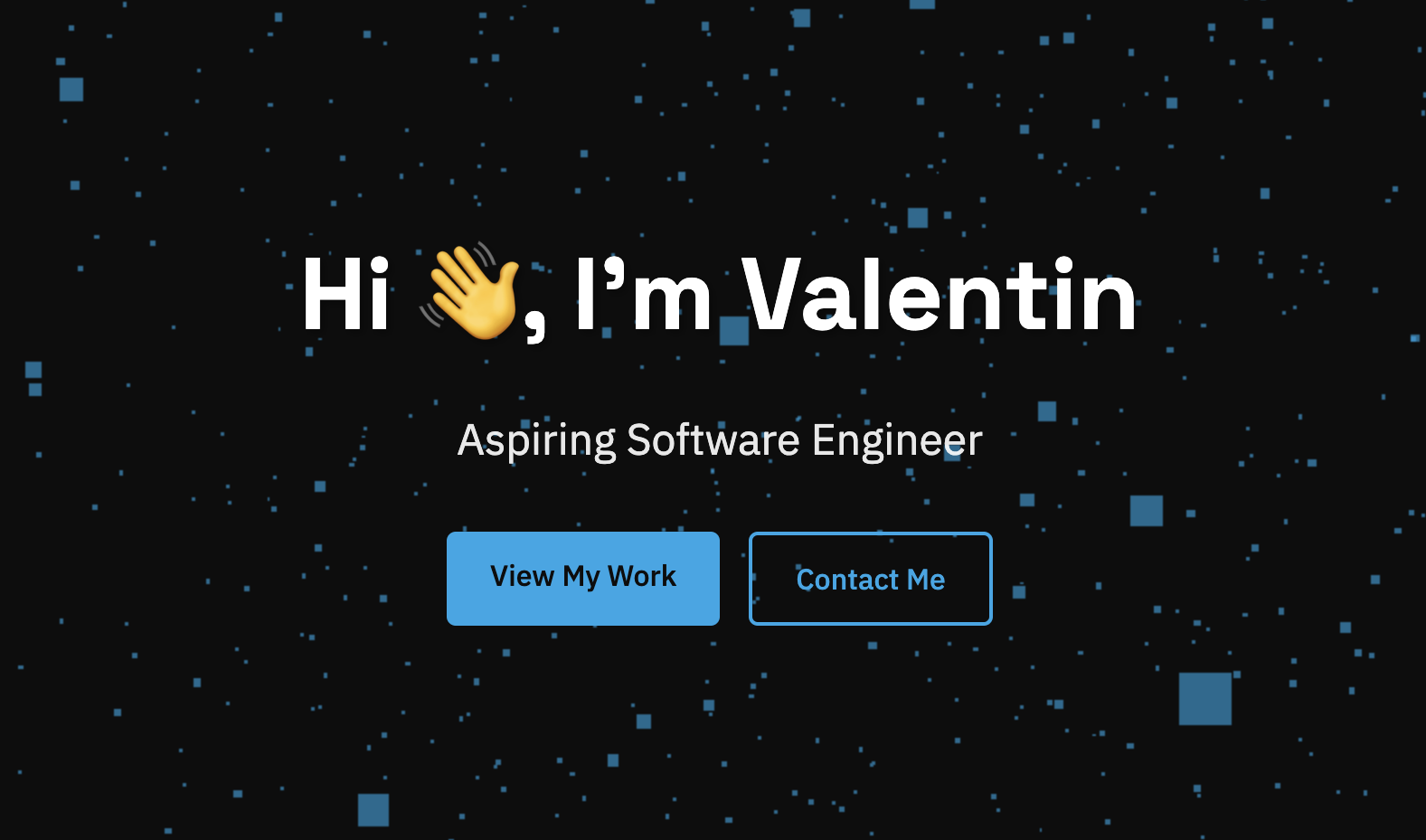 Portfolio website
